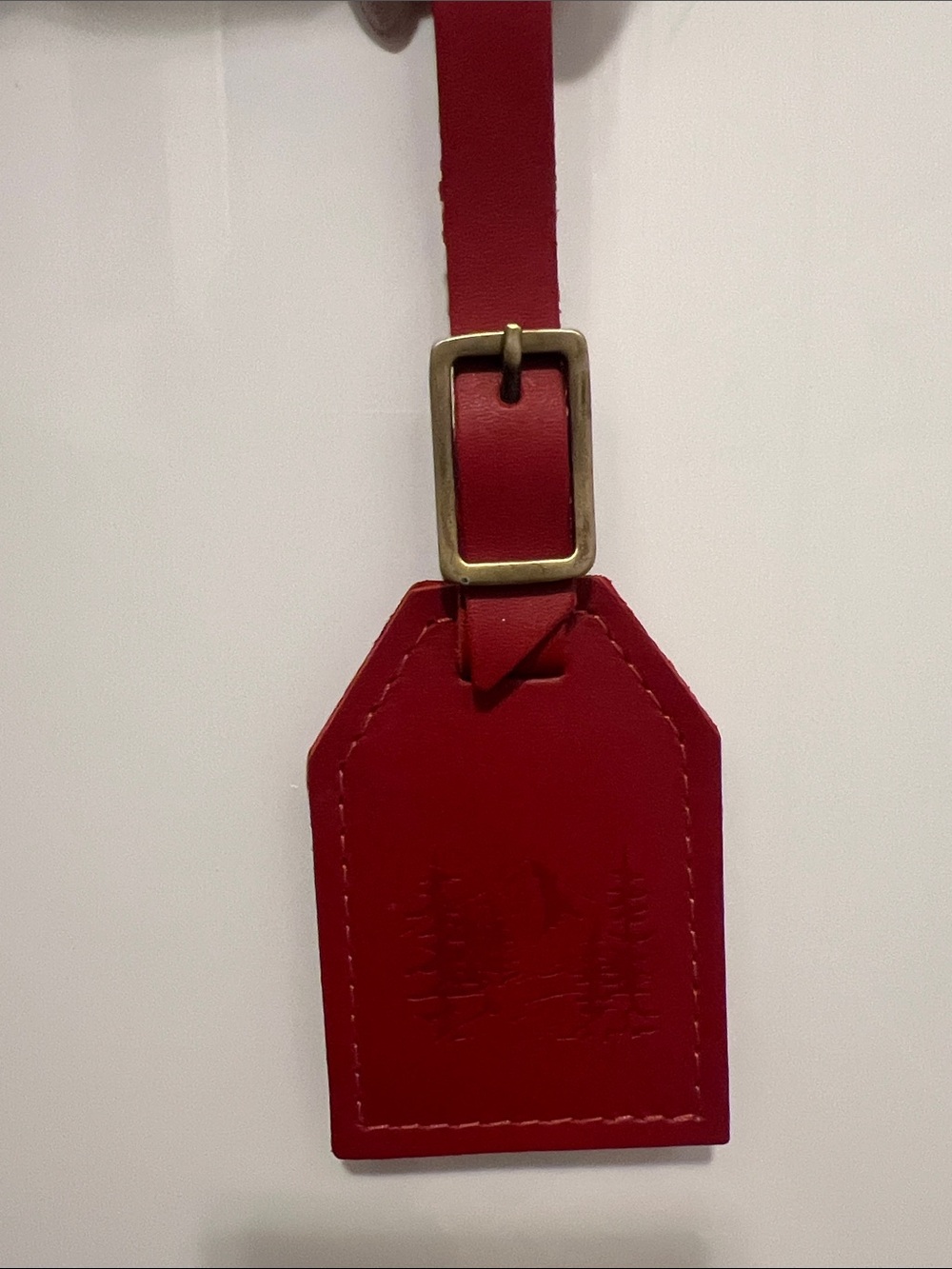 Portland Leather Red Luggage Tag with Brass Buckle - Picture 3 of 4